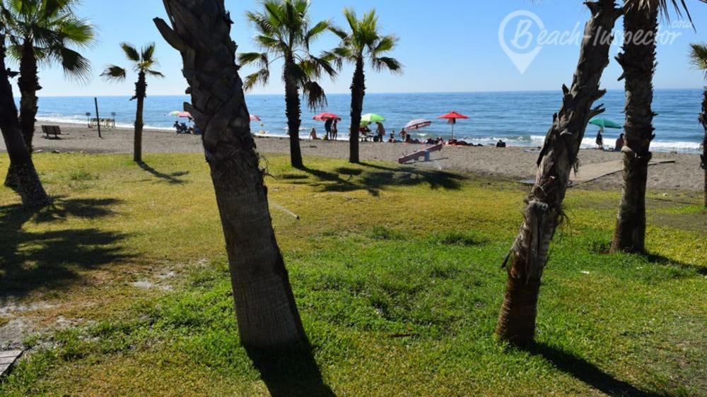 60 M2 En La Playa